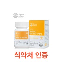 팜엔탑 비타민C 인디안구스베리 60정 피로회복 유기농 온가족 영양제 식물성 항산화 영양소 섭취 임산부 활력 신의 열매 성장기 청소년 수업생 직장인 온가족 비타민c, 60캡슐X17개