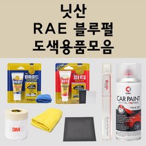 닛산 RAE 블루펄 주문 펄 (2개세트) 자동차 붓펜 카페인트 도색 스프레이 퍼티 컴파운드 차량용, 닛산:종이사포 2000방