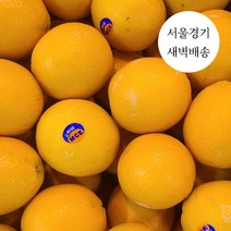 한정판매 새벽배송 당일배송 네이블 오렌지 1kg 3kg 프리미엄 초고당도 과일 수입산, 친환경 네이블 오렌지 3kg