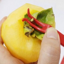sslunne 곶감걸이 가을DIY곶감걸이 감건조기 과일말리기 과일건조20P, ˚∑E꼭지핀 40P&#&