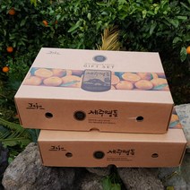 제주특산품 천혜향 3kg( 대과 선물용 9~13수)2박스 그윽한 향과 팡팡 터지는 과즙 설과일선물세트