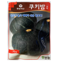 쿠키밤호박 70립/밤호박종자 밤호박씨앗 단호박종자 쪄먹는호박종자