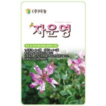 천인국 60립 - 야생화 씨앗 꽃씨 씨 꽃씨앗 천인국씨앗 천인국씨 야생화씨앗 꽃, 33_다농_자운영(2g)