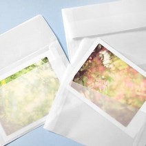 트레이싱지 청첩장 엽서봉투 50장입