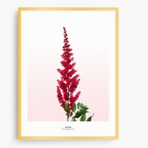 아스틸베 노루오줌 플라워 액자(41x32) 벽걸이그림 꽃액자 벽장식소품 신혼, 캔버스액자(옆면검정)