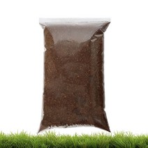 벅스프린스 코코피트 3L 팩맨바닥재