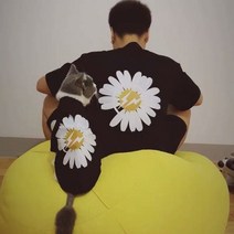 댕플룩 빅데이지 박스티 강아지커플템 강아지커플티 애견옷, 마스터 티셔츠, 엘