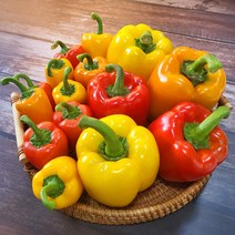 친환경 마음밭 국내산 무농약 미니 라온 파프리카 1.5kg 2.5kg, 미니파프리카 1.5kg