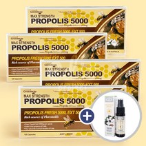 네이쳐스그린웨이 호주 고함량 프로폴리스 5000mg 120캡슐 사은품증정, 4개-480캡슐(약16개월분)
