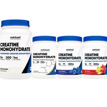 뉴트리코스트 크레아틴 파우더 500g, 2. 500g(블루라즈베리 맛)