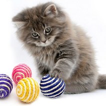 고양이 장난감 볼 우다다냥이 토이볼 마끈 랜덤발송, 20개