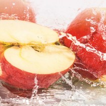 TYDL 당도선별 개별포장 세척사과 꼬마, 세척_10kg_꼬마_54~65입, 1개