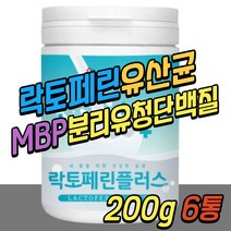 노인 분리 유청 우유 단백질 락토페린 초유 유산균 MBP 엠비피 유단백 보충제 덴마크 밀크 칼슘 미셀라 카제인 분말 가루 파우더 50대 60대 70대 중년 여성 여자 남성 남자