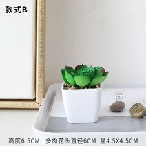 인테리어 인조 식물 나무 화분 에뮬레이션 그린 식물 고기 소분재 사무실 책상 위 미니 선인장 다육장식 조화 장식, 12 B대开心果