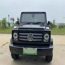 4륜바이크 오토바이 3륜 전기 산악 삼륜 125CC 4 휠 EV SUV 운송 전기차 공장 직접 장거리 맞춤형 색상, [01] JTG300