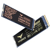 팀그룹 T-Force CARDEA ZERO Z440 NVMe M.2 SSD (2TB) 서린씨앤아이, 1개, 0, 선택하세요
