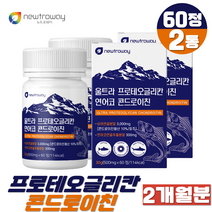 프로테오글리칸 상어연골 콘드로이친 연어코 연골 추출분말 콘도로이친 60정 프리테오글리칸