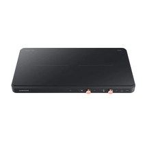 삼성 2구 인덕션 더 플레이트 프리스탠딩 NZ60R3703PK