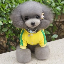 펫리 츄리닝 강아지 트레이닝복 올인원 강아지옷, 블루