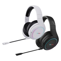 제닉스 TITAN WH6 가상7.1채널 무선 게이밍 헤드셋 정품 블랙/화이트, 화이트