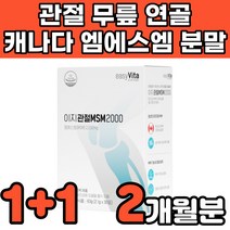 캐나다 고순도 고함량 nsm 디메틸설폰 엠에스엔 엠에스엠 가루 분말 파우더 중년 노인 부모님 50대 60대 무릎 무릅 연골 허리 관절에 연골에 허리에 무릎에 좋은 영양제 추천, 2박스(2개월분)