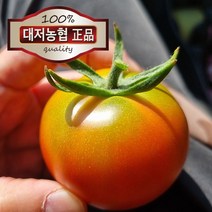 대저토마토 당일수확 당일배송 정품인증 정직한 가격 2.5kg (s/m), 대저토마토 정품(소과) 2.5kg