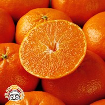 (롯데백화점)블루제주 서귀포 레드향 4.5kg(실속형 소과 26-36과 실중량)