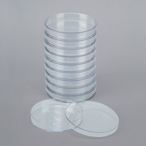 패트리디쉬(PVC), A형
