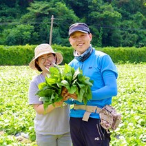 강원도 정선 곤드레, 2kg, 냉동곤드레, 1개