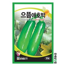 으뜸애호박 30립 / 호박씨 호박씨앗 애호박씨앗 애호박씨
