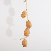석류 디저트 키위 사과 홍고추 채소 매장 딸기 포토존만들기 귤 미술, 감자 꼬치꼬치