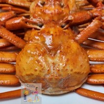 홍게_구룡포_2.5kg_자숙_포항_프리미엄_YX_, 상세페이지 참조