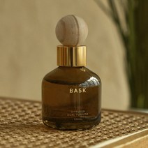 BASK 듀얼퍼포즈 실내겸용 차량용 디퓨저 100ml 본품, 튜베로즈, 1개