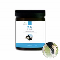 [굿소일] 초유 WPI WPC 단백질 쉐이크 효소 분말 250g, 선택옵션, 자연이 준 선물 그대로