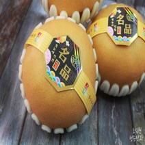 선물세트 부사 사과 신고 배 5kg 7.5kg 과일세트 청송 조치원 꿀사과 꿀배, 신고배세트 5kg[6-9과]
