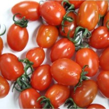 스위프리 맛있는 고당도 스테비아 대추방울토마토 1kg, 단품