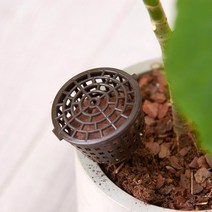 화분용 고체비료통 완효성비료통 콩분 화초 실내정원 식물영양제통, 중(2호-4cm)