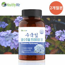 헬씨위 수국잎 열수 추출물 프리미엄정 1000mg 60정 2개월분, 1통(2개월분,60정)
