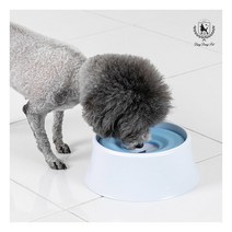 [딩동펫] 강아지 플로팅 급수기, 선택사항:플로팅 급수기_그린, 상세 설명 참조