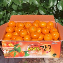 고당도 인증 당도보장 노지감귤 제주 감귤 5kg, 로얄과 S/M 5kg