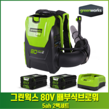 80v 전기 충전 배부식 브로워 백팩 송풍기 낙엽 제설 청소 눈 무선 청소기, 베어툴+5ah배터리2개+충전기