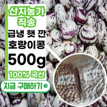 [껍질제거] 2023년 국산 국내산 급냉 햇 깐 호랑이콩 호랑이강낭콩 생국산 호랑이콩 햇콩, 1개, 500g