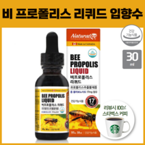 비 프로폴리스 리퀴드 플라노보이드 하루 권장량 17mg함유 입향수 스포이드 포르폴리스 액
