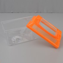 투명창 곤충 경사로 사육장 플라스틱 곤충 채집통 소형