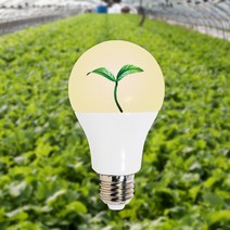레드일렉트릭 LED 식물등 12W 램프 식물 조명 생장등 성장등, 식물벌브3000K 키다리, 1개