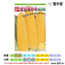 헬프팜 초당옥수수 2000립 전문가용 종자 씨앗 3511R