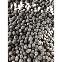 2022년 햇곡 서리태 [국산: 경남 진주], 코스모스 서리태 2kg