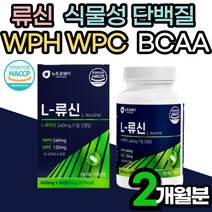 류신 단백질 타블렛 2개월 WPC WPH 프로틴 보충제