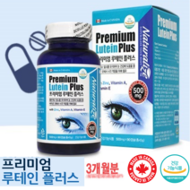 캐나다 복합 루테인 프리미엄 90캡슐 눈건강증진 영양제 황반색소밀도유지 침침한눈 뻑뻑한눈 희미한 눈 노화 에좋은 3개월분 면역기능 아연 비타민 A E 함유 어두운곳 시각적응