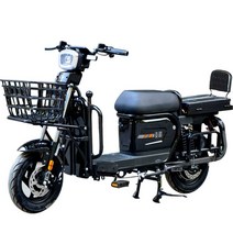 전동스쿠터 배달 48V 라이더 전동 광폭, 모델72V20A리튬배터리48V20AH